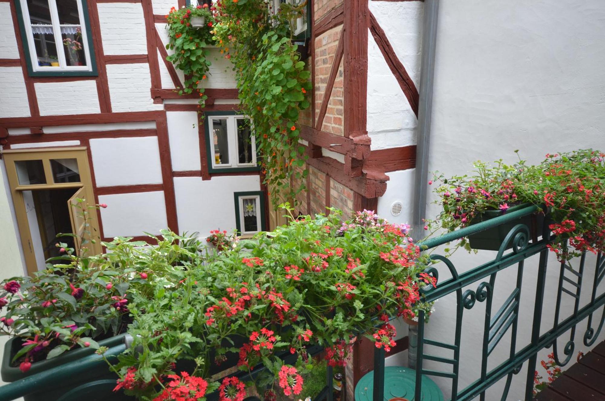 Apartament Quartier Am Brunnen Quedlinburg Pokój zdjęcie